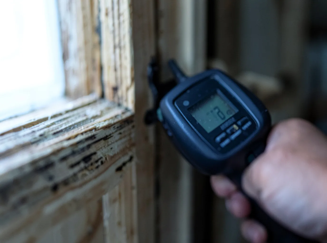 Commercial Water Damage Restoration in Blaine, WA